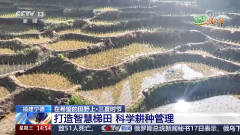 <b>新农机发力 “三夏”历程加速</b>